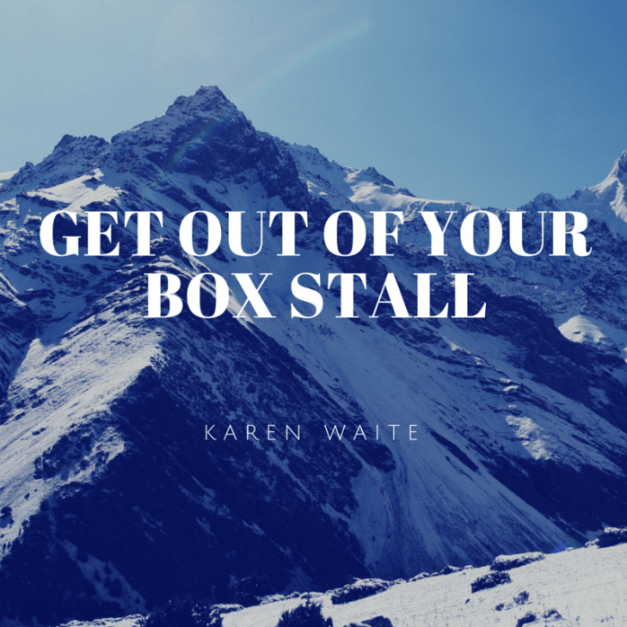 Get out of your box stall