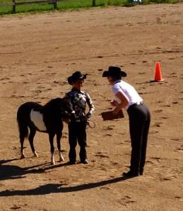 Photo by Jaye Nevins